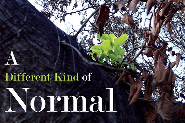 A Different Kind of Normal