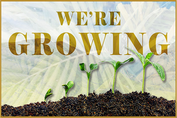 We're Growing